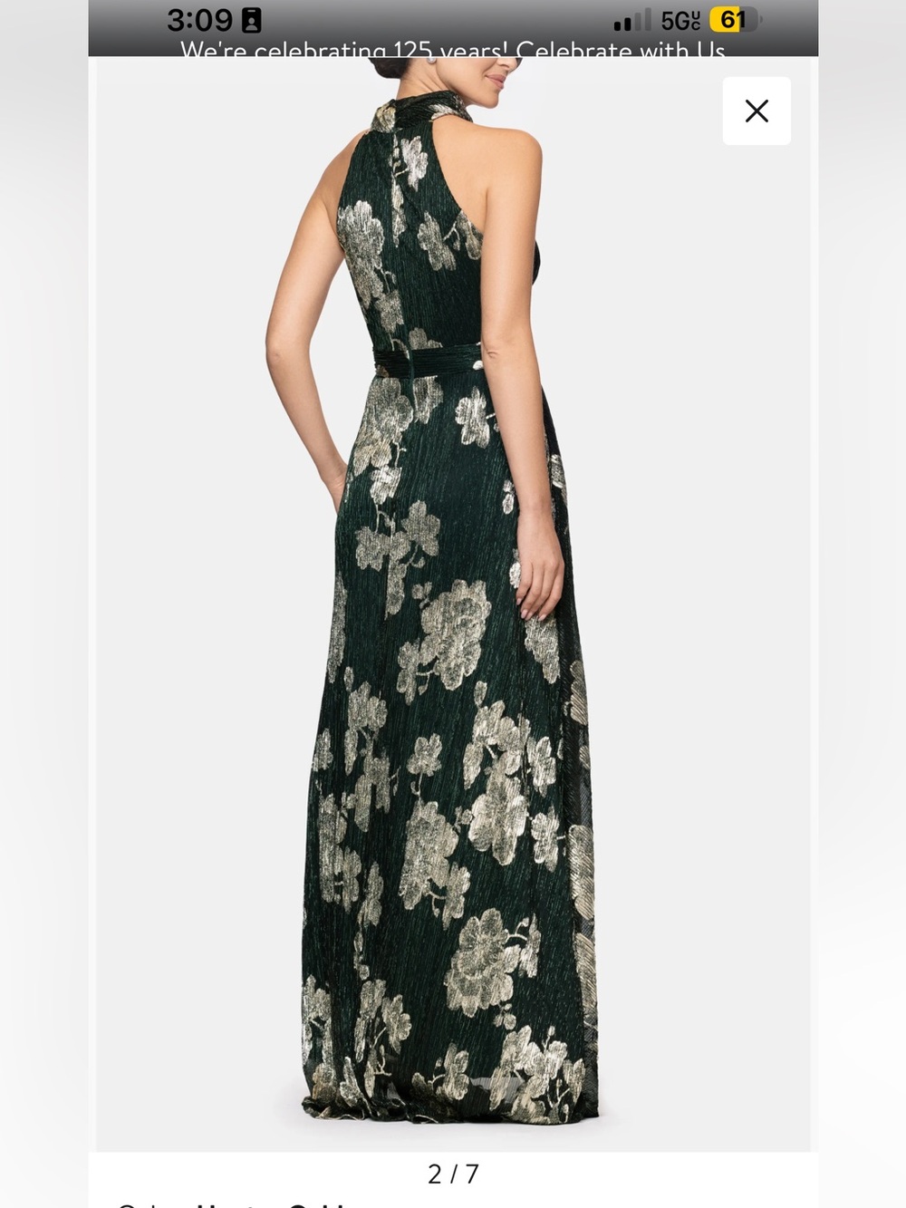 Nwot -Uworn Crinkle Metallic Floral Gown size 4